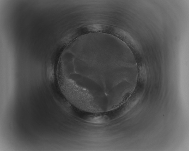 X0000101950267200807251140