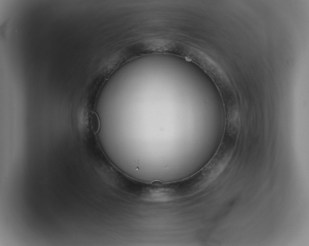 X0000101950268200807251140