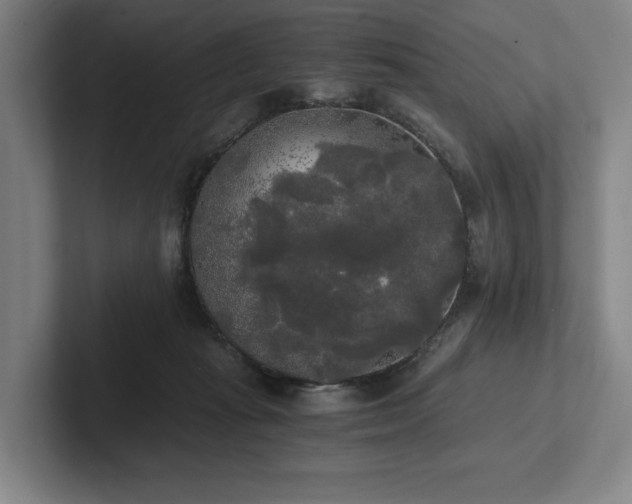 X0000101950269200807251140