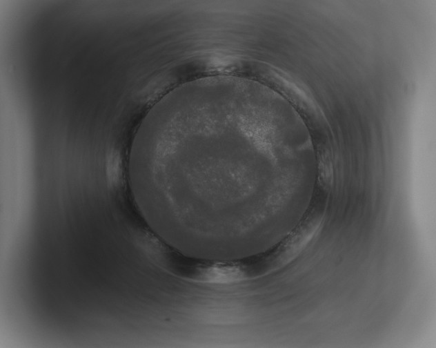 X0000101950270200807251140