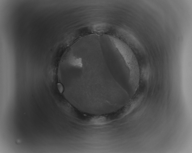 X0000101950271200807251140