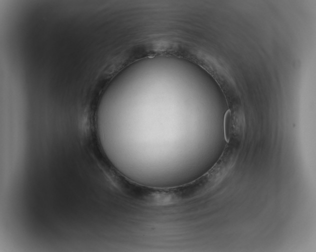 X0000101950272200807251140