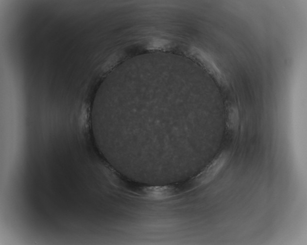 X0000101950273200807251140