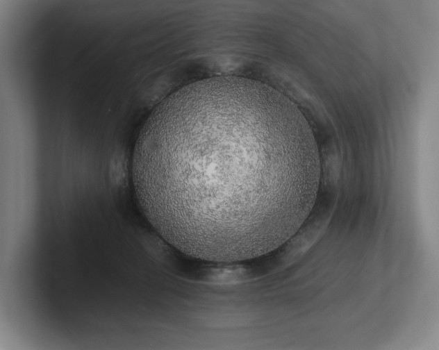 X0000101950274200807251140