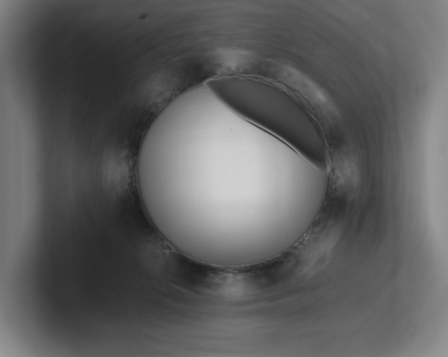 X0000101950276200807251140