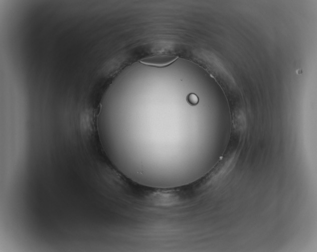 X0000101950280200807251140