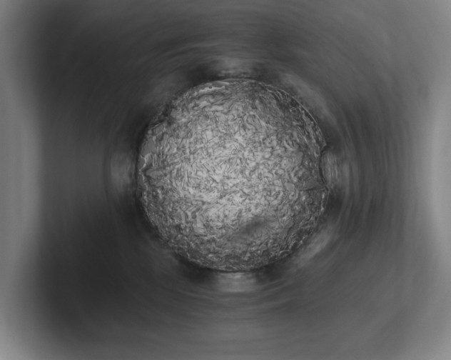 X0000101950281200807251140