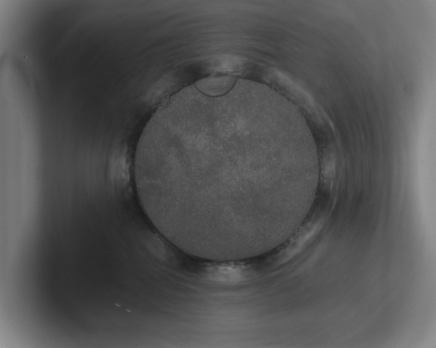 X0000101950282200807251140