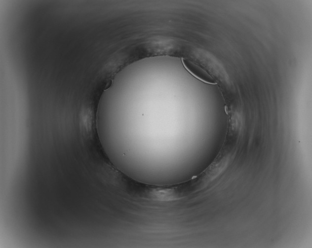 X0000101950283200807251141