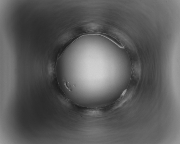 X0000101950284200807251141