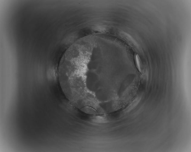 X0000101950285200807251141