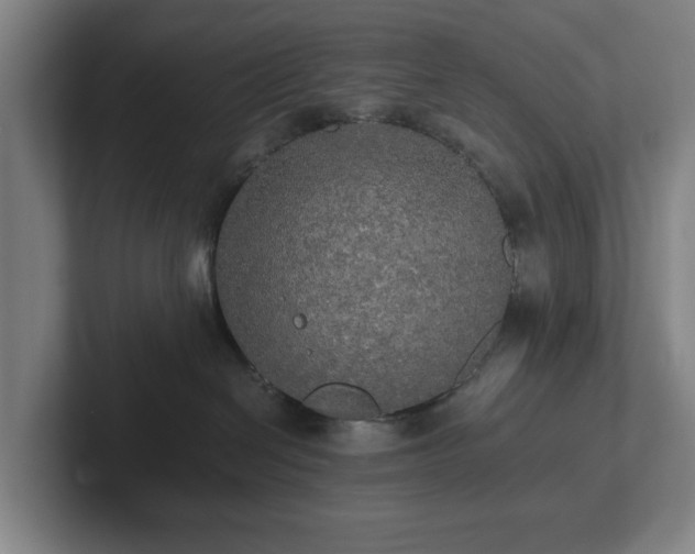 X0000101950286200807251141