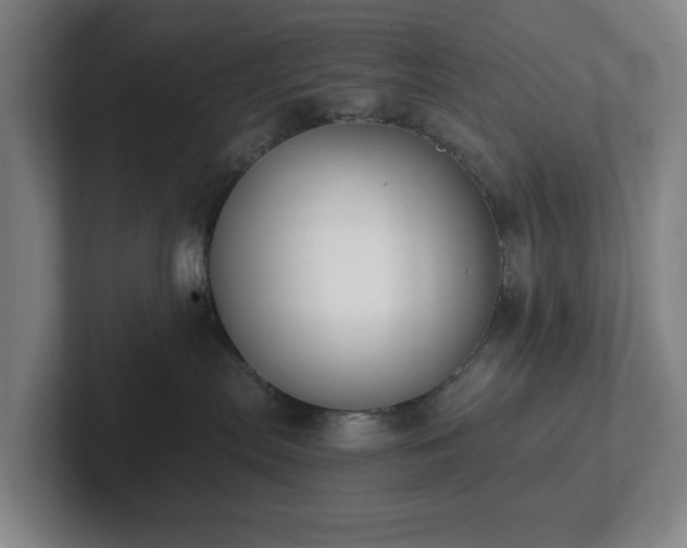 X0000101950287200807251141