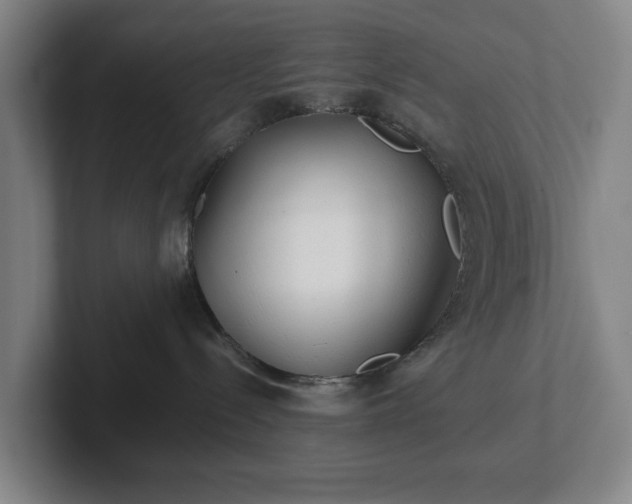 X0000101950288200807251141