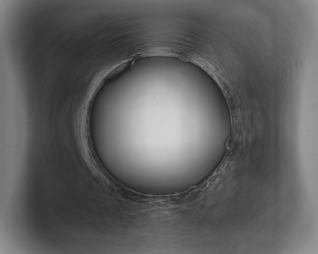 X0000101950289200807251140