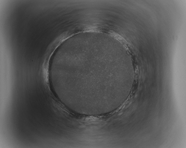 X0000101950290200807251140