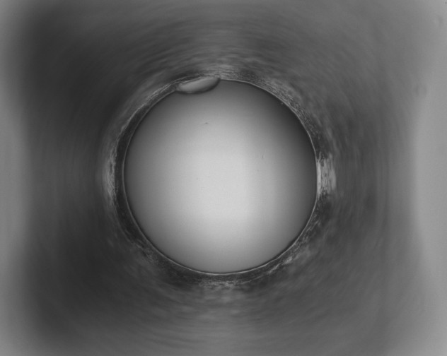 X0000101950291200807251140