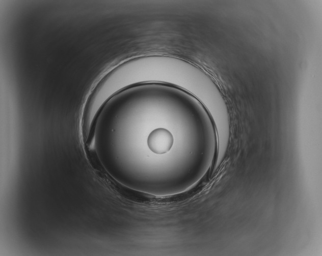 X0000101950292200807251140