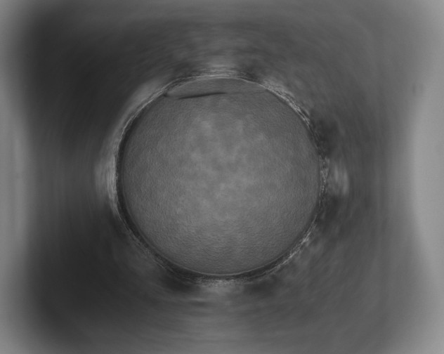 X0000101950293200807251140