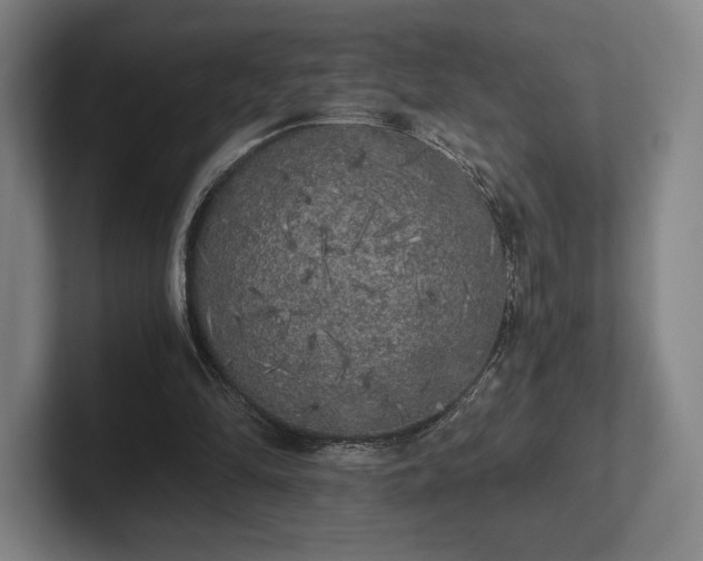 X0000101950294200807251140