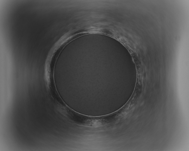 X0000101950295200807251140