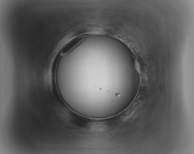 X0000101950296200807251140