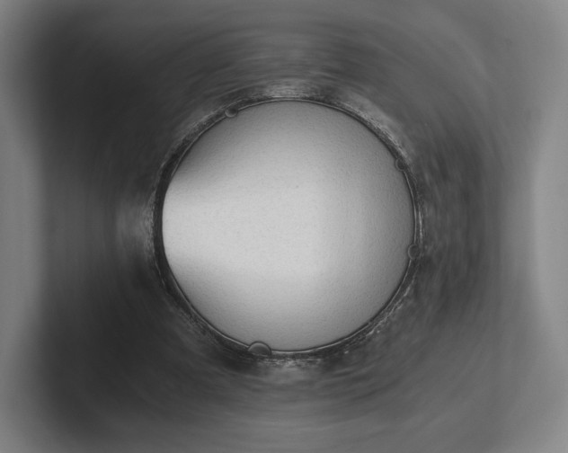 X0000101950297200807251140