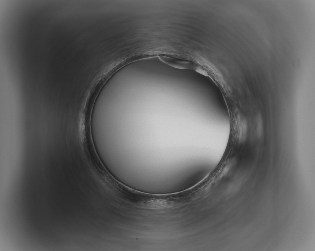 X0000101950298200807251140