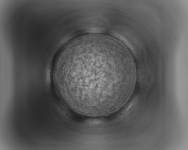 X0000101950299200807251140