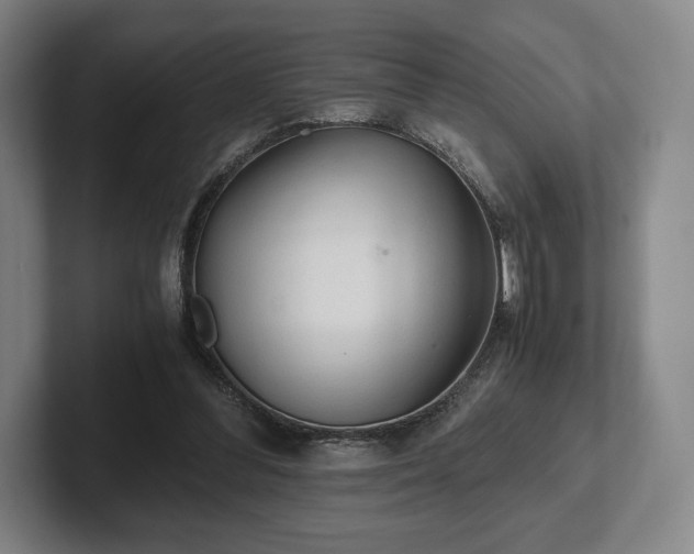 X0000101950300200807251140