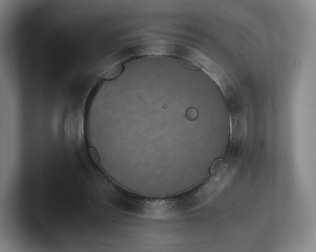 X0000101950301200807251140