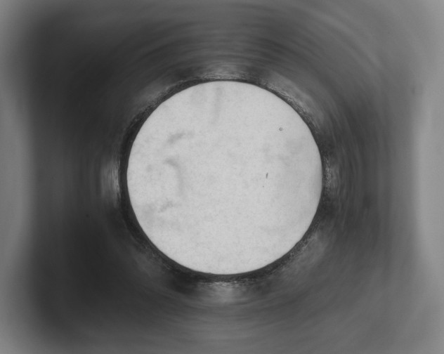 X0000101950302200807251140