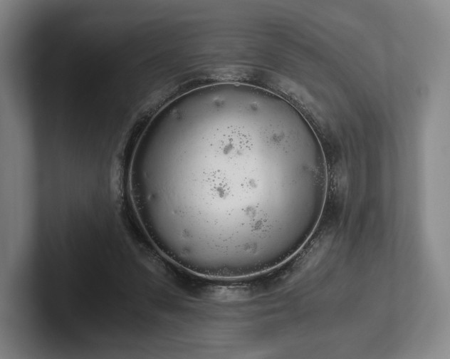 X0000101950303200807251140