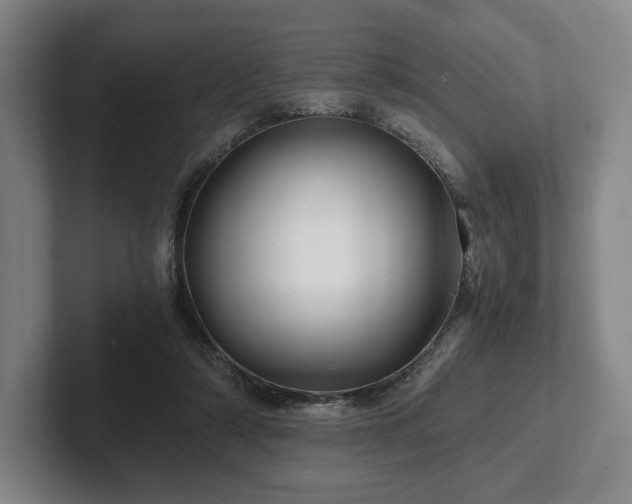 X0000101950306200807251140