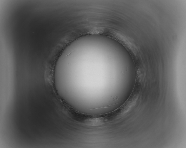 X0000101950307200807251140