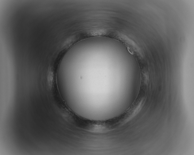 X0000101950308200807251140