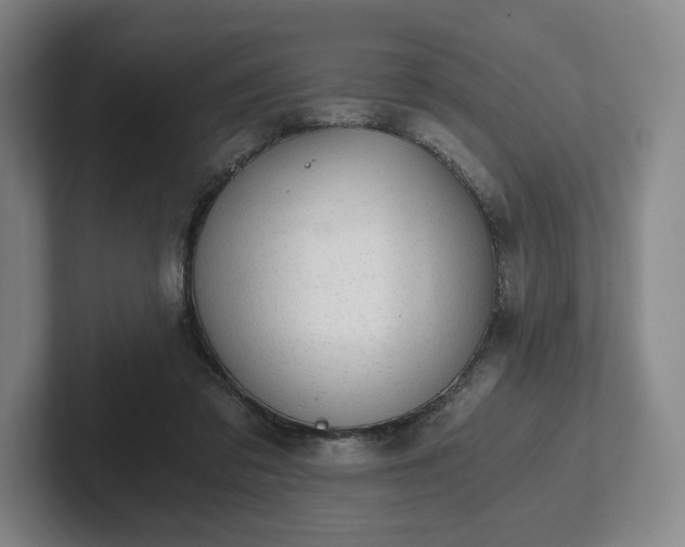 X0000101950309200807251140