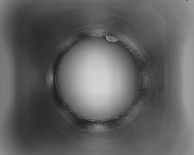 X0000101950310200807251140