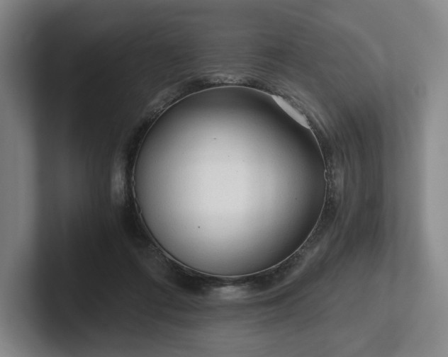 X0000101950312200807251140