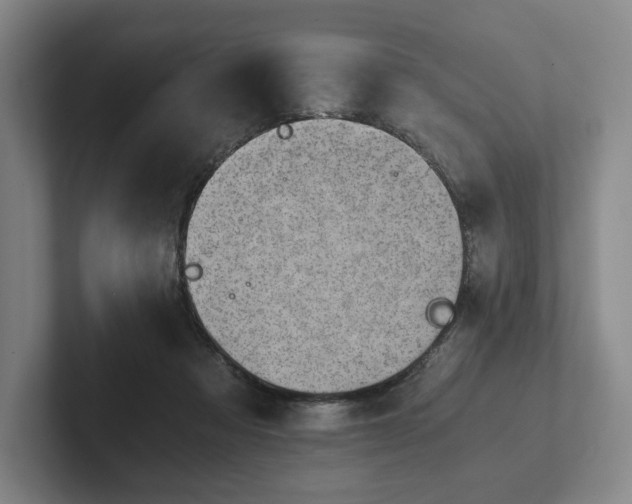 X0000101950313200807251140