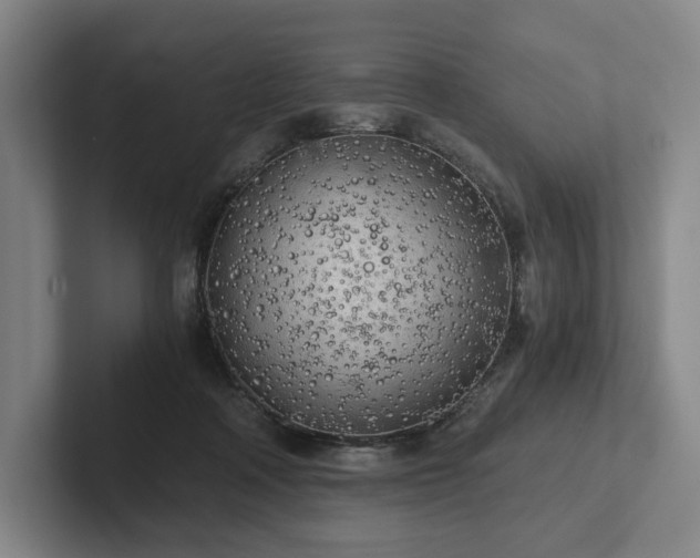 X0000101950314200807251140