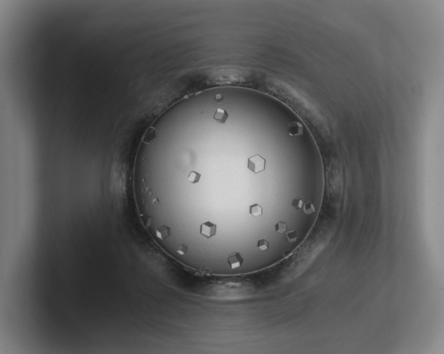 X0000101950315200807251140