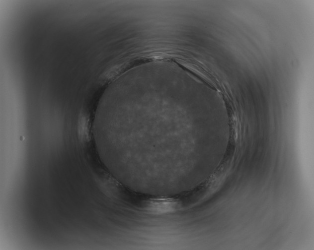 X0000101950316200807251140