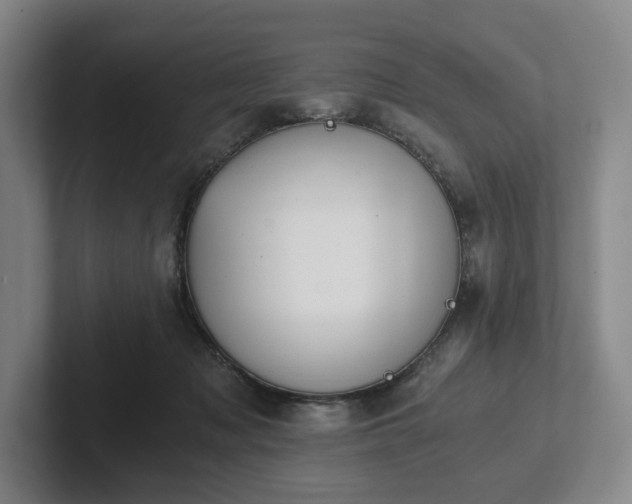 X0000101950317200807251140