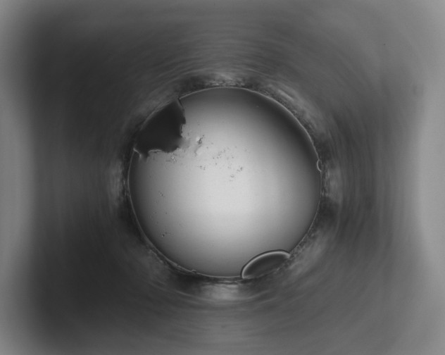 X0000101950318200807251140