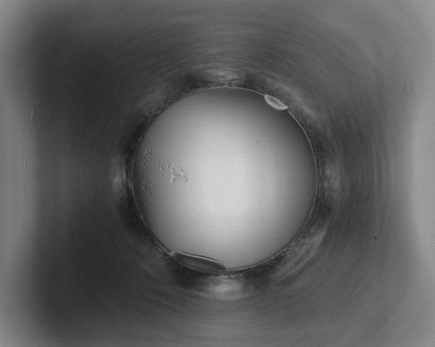 X0000101950320200807251140