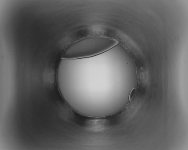 X0000101950323200807251140