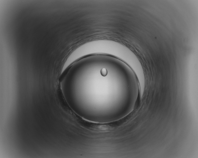 X0000101950324200807251139