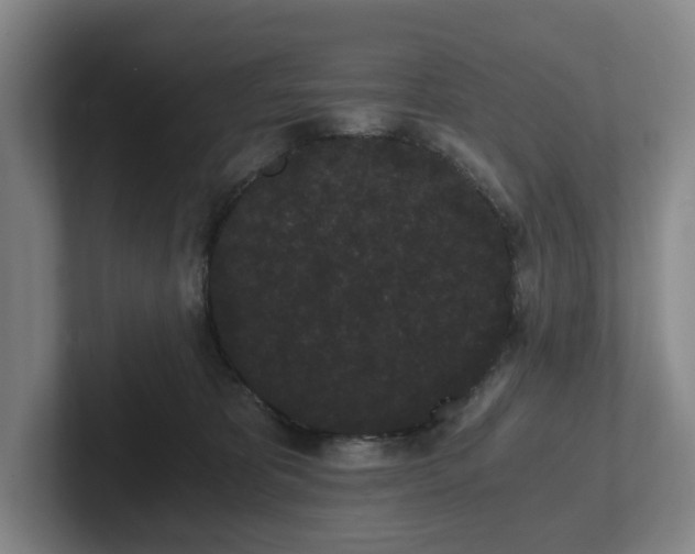 X0000101950325200807251139