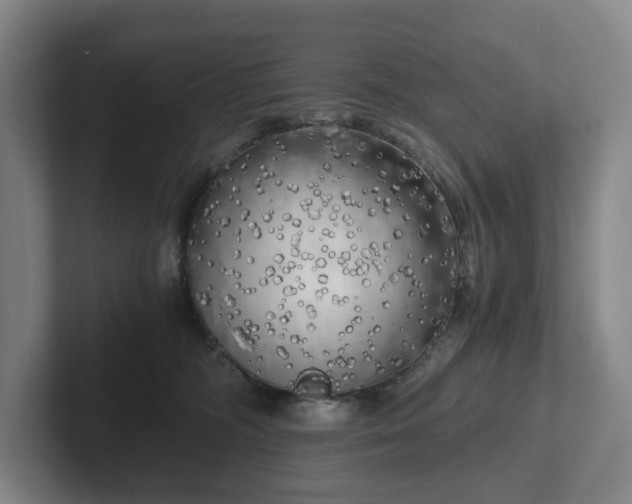 X0000101950326200807251139